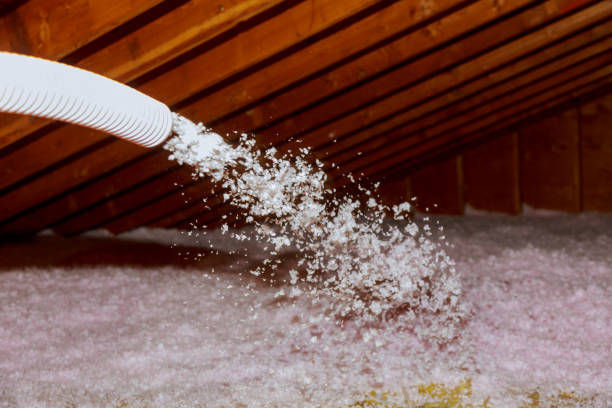 Best Garage Insulation Installation  in Waxhaw, NC