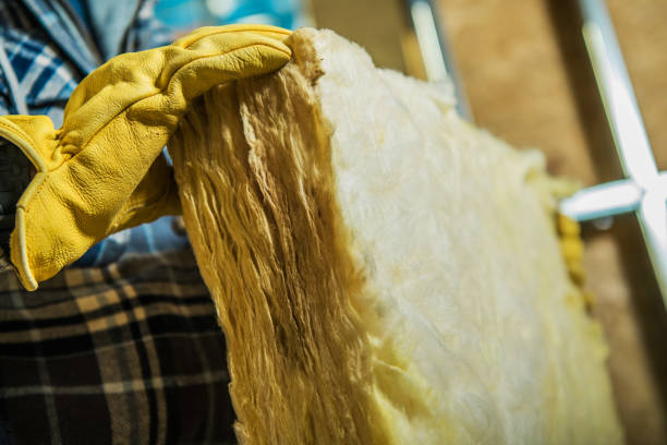 Best Wall Insulation Contractor  in Waxhaw, NC