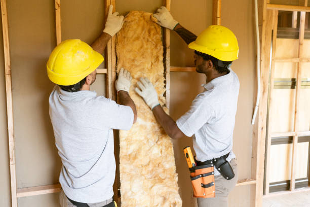 Best Insulation Repair Services  in Waxhaw, NC