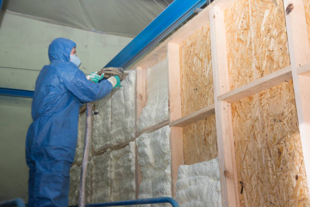 Best Local Insulation Services  in Waxhaw, NC