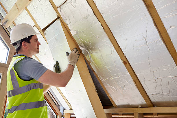 Best Cellulose Insulation  in Waxhaw, NC